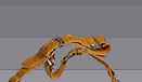 Leather Accessories