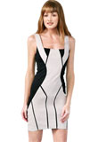 Dual Shaded Short Leather Dress | Leather Dresses Online